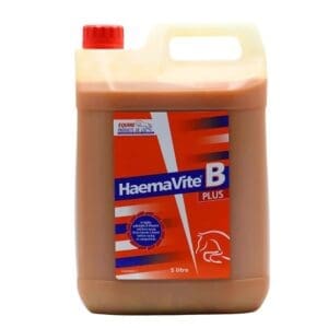 B-VITAMIN OG JERN