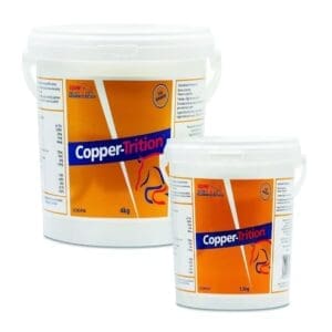 Copper - Trition
