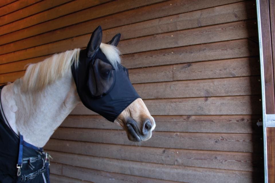 CATAGO FIR-TECH FLUEMASKE - Bilde 2