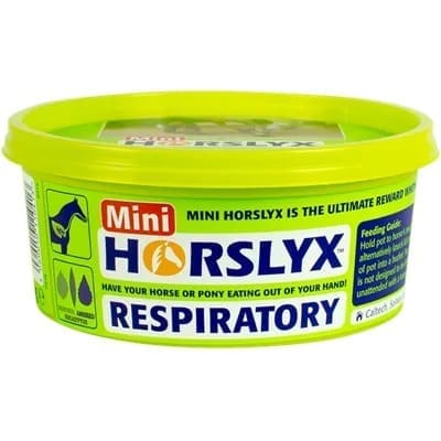 HORSLYX RESPIRATORYH