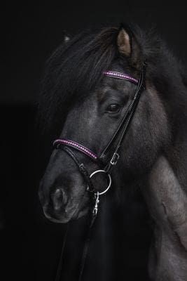 TOP REITER DEMANTUR NAKKEREIM ROSA - Bilde 2